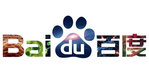 旋风蜘蛛池搭建